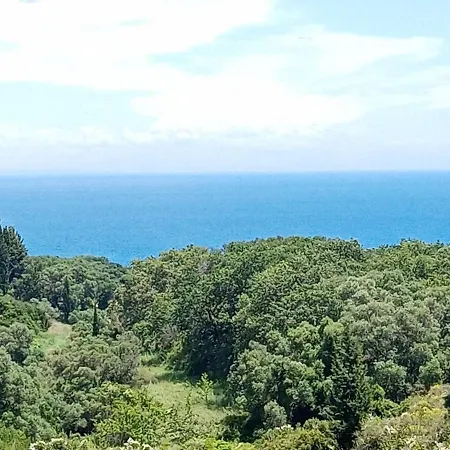 Amazona And Ξενοδοχείο με διαμερίσματα Σπαρτιά