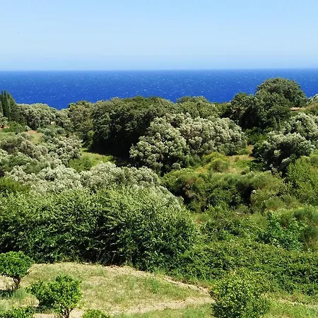 Amazona And Ξενοδοχείο με διαμερίσματα