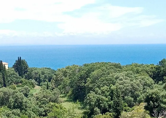 Amazona And Lägenhetshotell Spartia (Kefalonia)