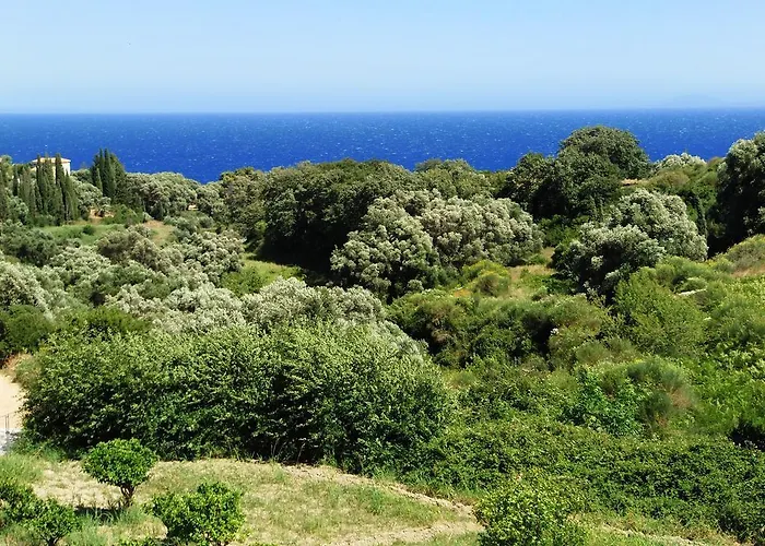 Amazona And Lägenhetshotell
